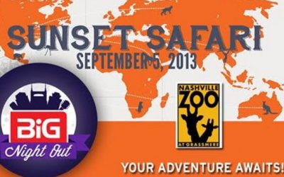 BIG Night Out: Sunset Safari